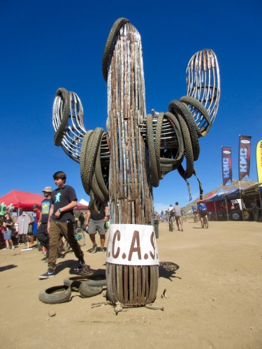 The rim cactus is the centerpiece of 24 Hour Town in the Old Pueblo
