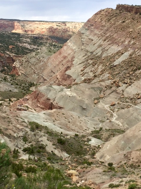 Andy's Loop winds it's way down canyon toward Grand Junction. Photo by Shannon Boffeli