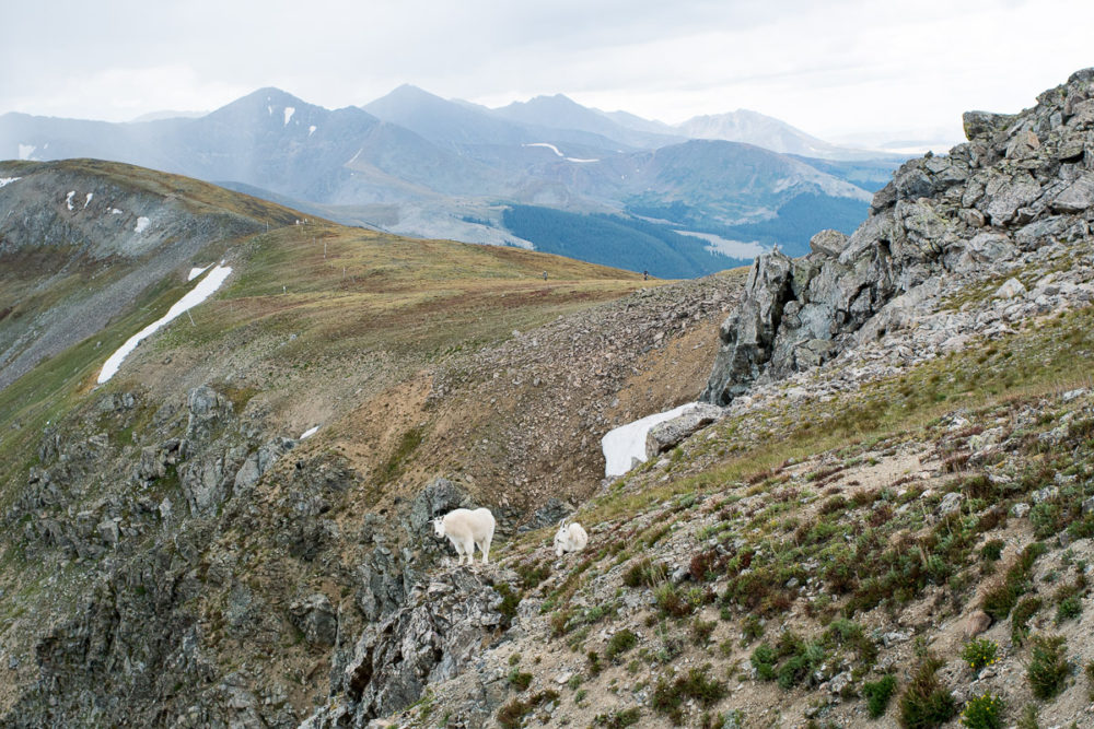 Today’s stage demanded the powers of a mountain goat, as they pushed to terrain not normally travelled by bike or foot. Photo by: Eddie Clark