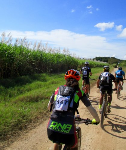 Jen working with our group through 10-foot-tall sugarcane fields. 