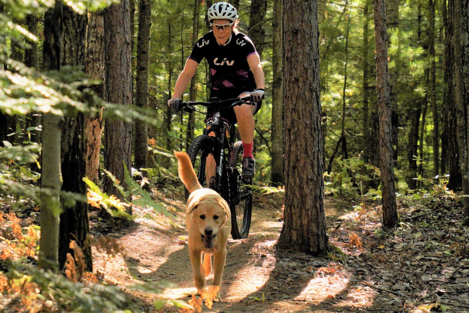 NUE Marji Gesick 100 Mile MTB Race News